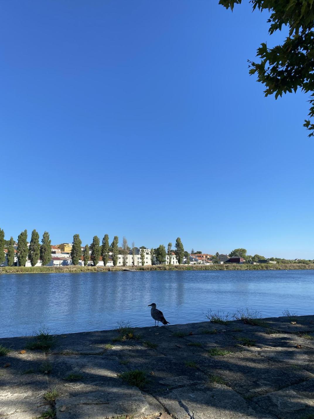 Apartament Praceta Vila Do Conde Exteriér fotografie